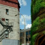 Raumlabor’s Fountain House in Montreal is built around a fountain that feeds plants growing in the walls. Photo: Courtesy of the artists